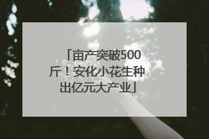 亩产突破500斤！安化小花生种出亿元大产业