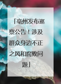 亳州发布巡察公告！涉及群众身边不正之风和腐败问题