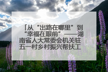 从“出路在哪里”到“幸福在眼前”——湖南省人大常委会机关驻五一村乡村振兴帮扶工作队书写振兴答卷