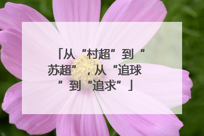 从“村超”到“苏超”，从“追球”到“追求”
