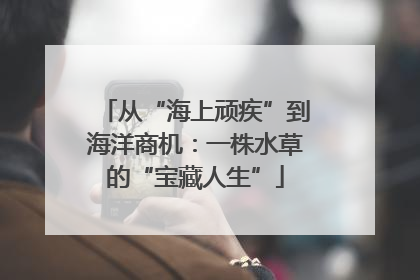 从“海上顽疾”到海洋商机：一株水草的“宝藏人生”