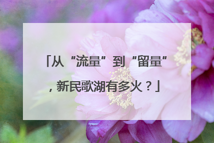 从“流量”到“留量”，新民歌湖有多火？