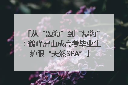 从“题海”到“绿海”：鹤峰屏山成高考毕业生护眼“天然SPA”
