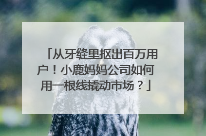 从牙缝里抠出百万用户！小鹿妈妈公司如何用一根线撬动市场？