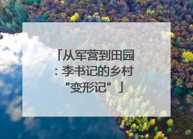 从军营到田园：李书记的乡村 “变形记”