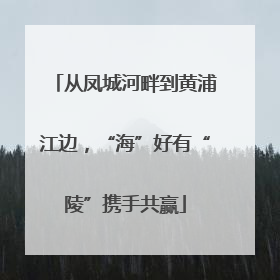 从凤城河畔到黄浦江边，“海”好有“陵”携手共赢