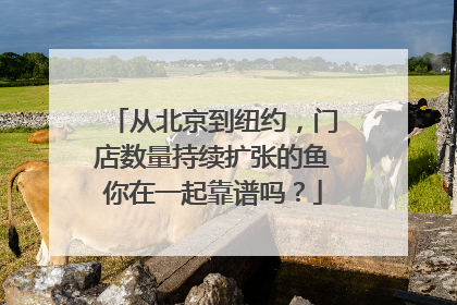 从北京到纽约，门店数量持续扩张的鱼你在一起靠谱吗？