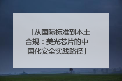 从国际标准到本土合规：美光芯片的中国化安全实践路径