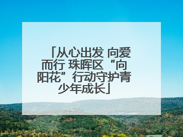 从心出发 向爱而行 珠晖区“向阳花”行动守护青少年成长