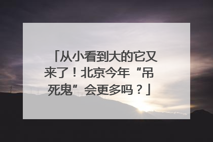 从小看到大的它又来了！北京今年“吊死鬼”会更多吗？