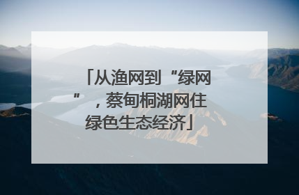 从渔网到“绿网”，蔡甸桐湖网住绿色生态经济