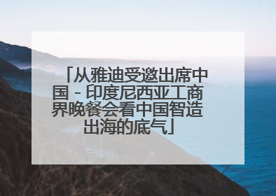 从雅迪受邀出席中国－印度尼西亚工商界晚餐会看中国智造出海的底气