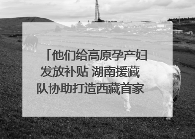 他们给高原孕产妇发放补贴 湖南援藏队协助打造西藏首家高原产儿协同中心