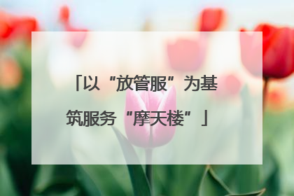 以“放管服”为基筑服务“摩天楼”
