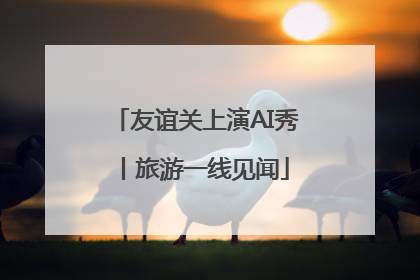 友谊关上演AI秀丨旅游一线见闻