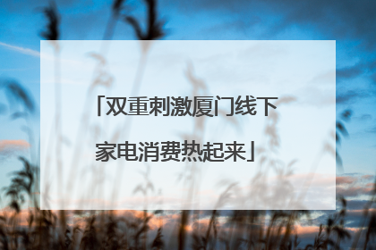 双重刺激厦门线下家电消费热起来