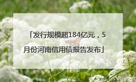发行规模超184亿元，5月份河南信用债报告发布