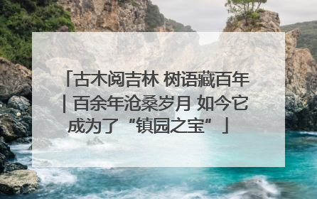 古木阅吉林 树语藏百年｜百余年沧桑岁月 如今它成为了“镇园之宝”