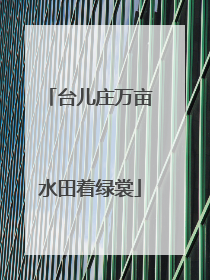 台儿庄万亩水田着绿裳