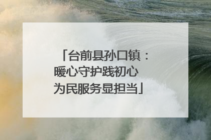 台前县孙口镇：暖心守护践初心 为民服务显担当
