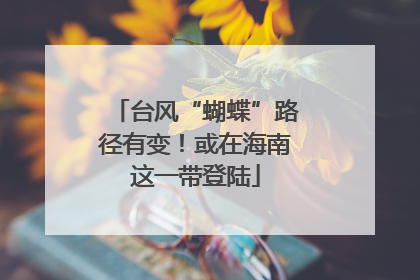台风“蝴蝶”路径有变！或在海南这一带登陆