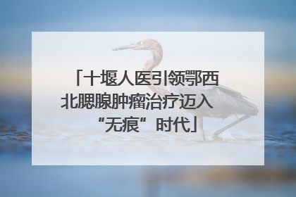 十堰人医引领鄂西北腮腺肿瘤治疗迈入“无痕”时代