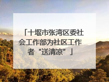 十堰市张湾区委社会工作部为社区工作者“送清凉”