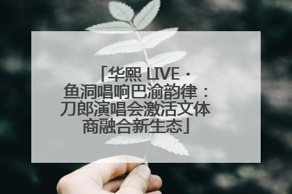 华熙 LIVE・鱼洞唱响巴渝韵律：刀郎演唱会激活文体商融合新生态