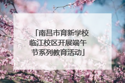 南昌市育新学校临江校区开展端午节系列教育活动