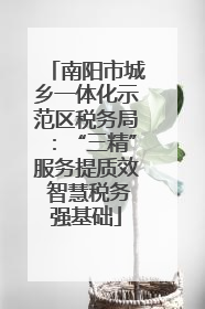 南阳市城乡一体化示范区税务局：“三精”服务提质效 智慧税务强基础