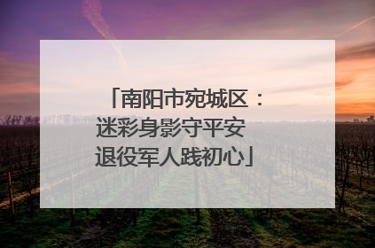 南阳市宛城区：迷彩身影守平安 退役军人践初心