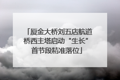 厦金大桥刘五店航道桥西主塔启动“生长” 首节段精准落位