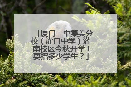 厦门一中集美分校（灌口中学）灌南校区今秋开学！要招多少学生？
