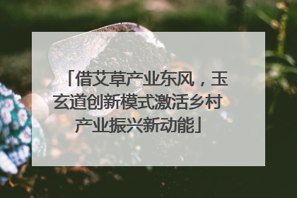 借艾草产业东风，玉玄道创新模式激活乡村产业振兴新动能