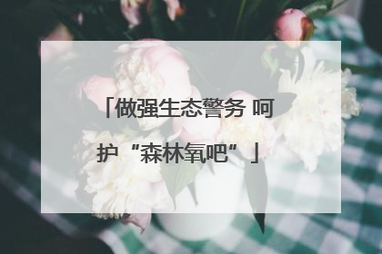 做强生态警务 呵护“森林氧吧”
