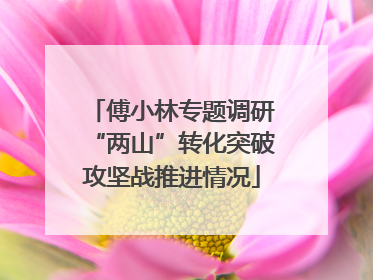 傅小林专题调研“两山”转化突破攻坚战推进情况