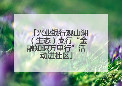兴业银行观山湖（生态）支行“金融知识万里行”活动进社区