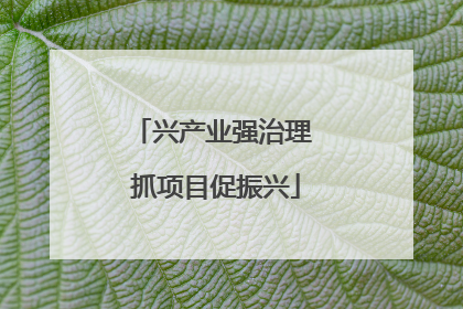 兴产业强治理 抓项目促振兴