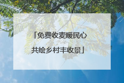 免费收麦暖民心 共绘乡村丰收景