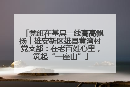 党旗在基层一线高高飘扬丨雄安新区雄县黄湾村党支部：在老百姓心里，筑起“一座山”