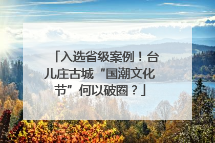 入选省级案例！台儿庄古城“国潮文化节”何以破圈？