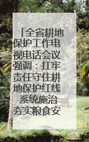 全省耕地保护工作电视电话会议强调：扛牢责任守住耕地保护红线 系统施治夯实粮食安全根基 王宁作出批示 王予波出席并讲话