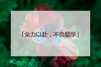 全力以赴，不负韶华