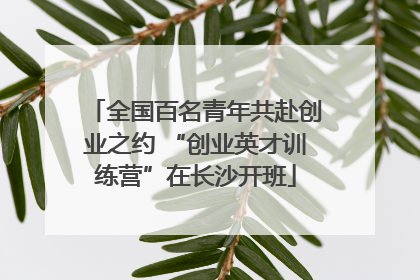 全国百名青年共赴创业之约 “创业英才训练营”在长沙开班