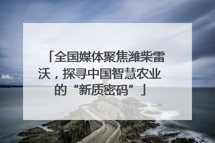 全国媒体聚焦潍柴雷沃，探寻中国智慧农业的“新质密码”