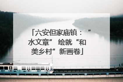 六安但家庙镇：“水文章” 绘就“和美乡村”新画卷
