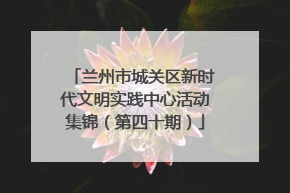 兰州市城关区新时代文明实践中心活动集锦（第四十期）