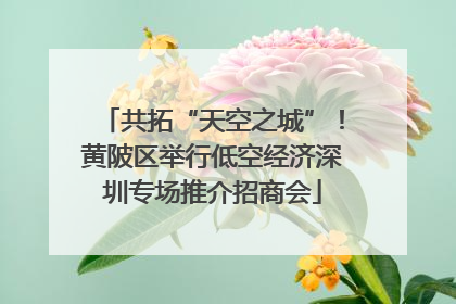 共拓“天空之城”！黄陂区举行低空经济深圳专场推介招商会