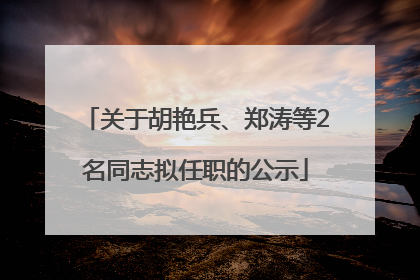关于胡艳兵、郑涛等2名同志拟任职的公示
