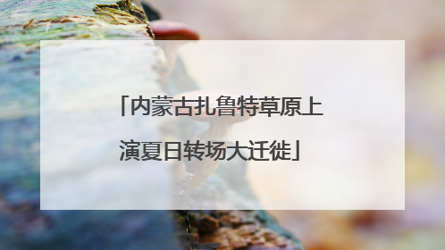 内蒙古扎鲁特草原上演夏日转场大迁徙